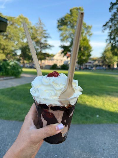 Mount Desert Island Ice Cream