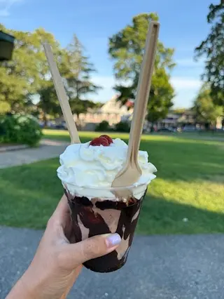 Mount Desert Island Ice Cream